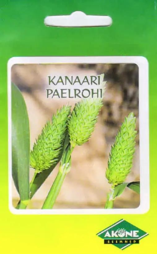 Kanaari paelrohi 1 g.