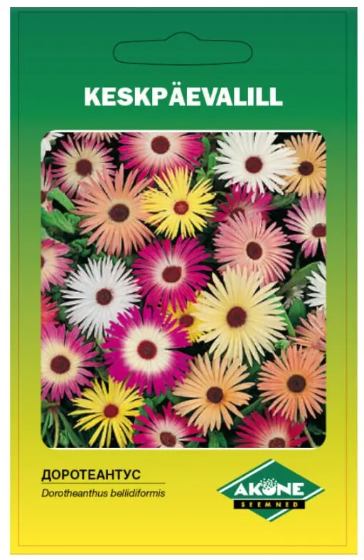 Keskpäevalill; 0,5 g
