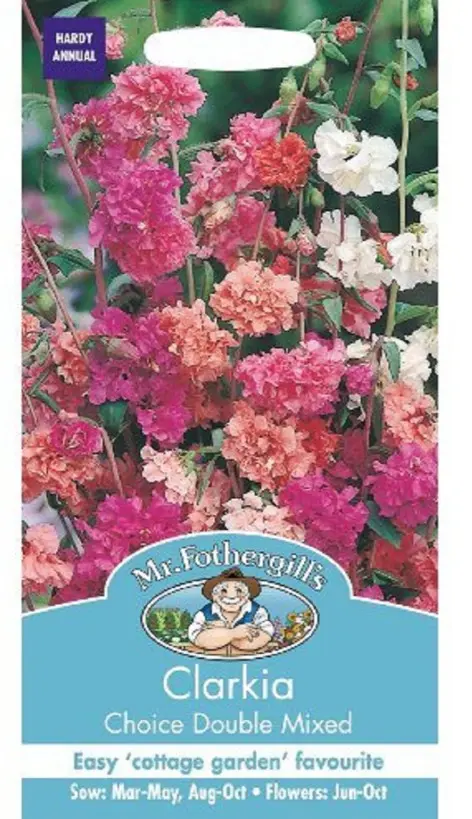 Klarkia, CHOICE DOUBLE,täidis segu 1500s.