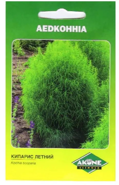 Kohhia, 1 g