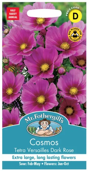 Kosmos TETRA VERSAILES DARK ROSE