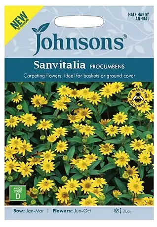 Lamav sanvitalia