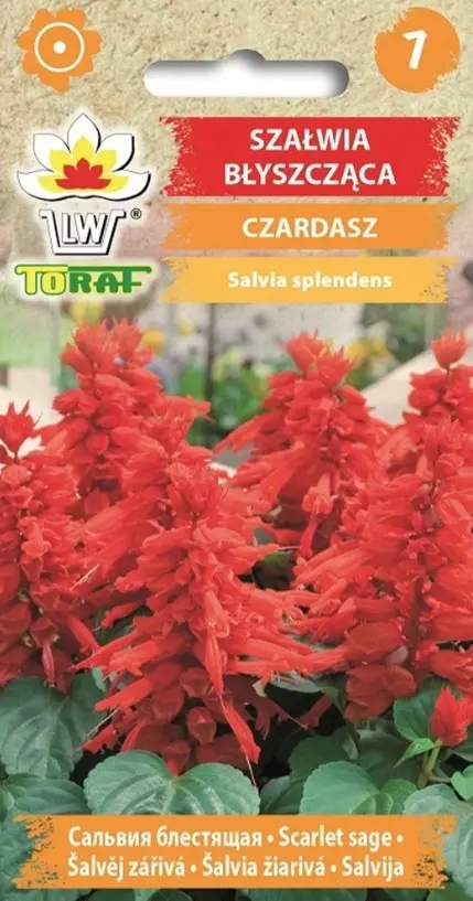 Leek-Salvei CZARDASZ 0,3 g