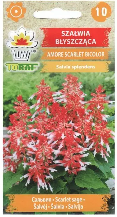 Leeksalvei SCARLET BICOLOR 10 tk