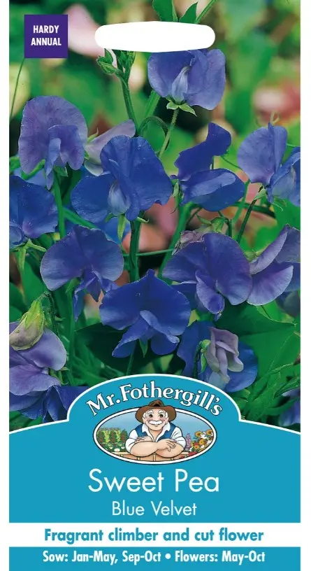 Lillhernes BLUE VELVET 35 s.