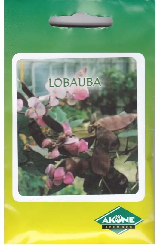 Lobauba VIOLET; 7 tk.