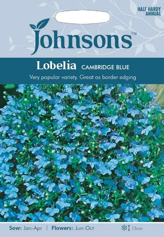 Lobeelia CAMBRIDGE BLUE, 2500 s.