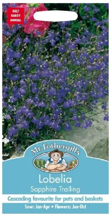 Lobeelia SAPPHIRE TRAILING