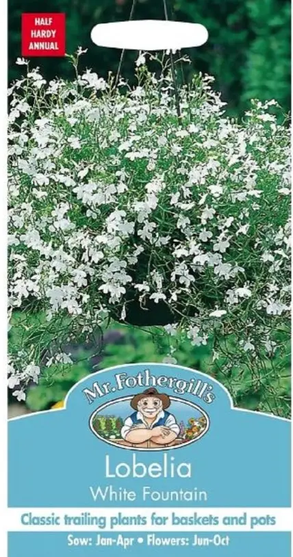 Lobeelia WHITE FOUNTAINS, 30 cm; 1500 s.
