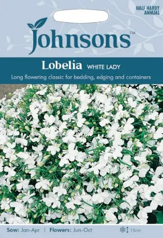 Lobeelia WHITE LADY, 2500 s.