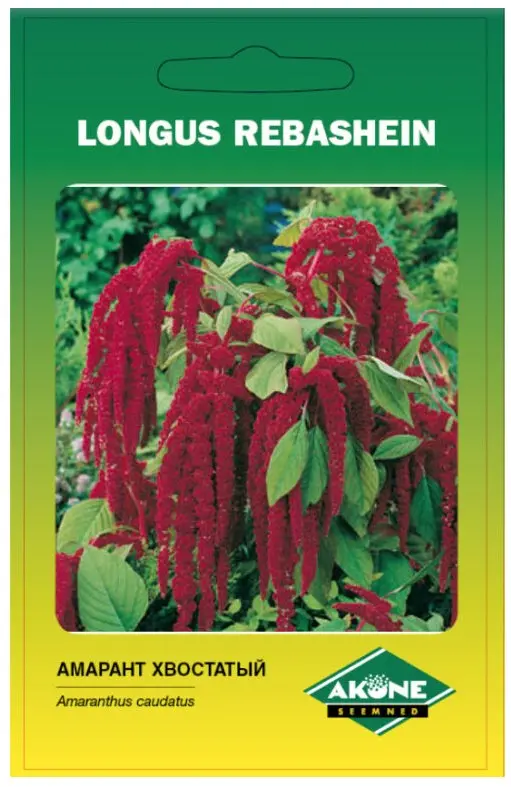 Longus rebashein, 0,5 g