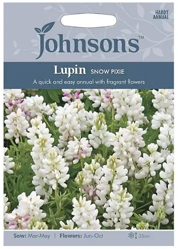 Lupiin SNOW PIXIE