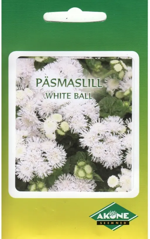 Mehhiko päsmaslill WHITE BALL 0,2 g