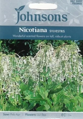 Metstubakas SYLVESTRIS, 2000 s.