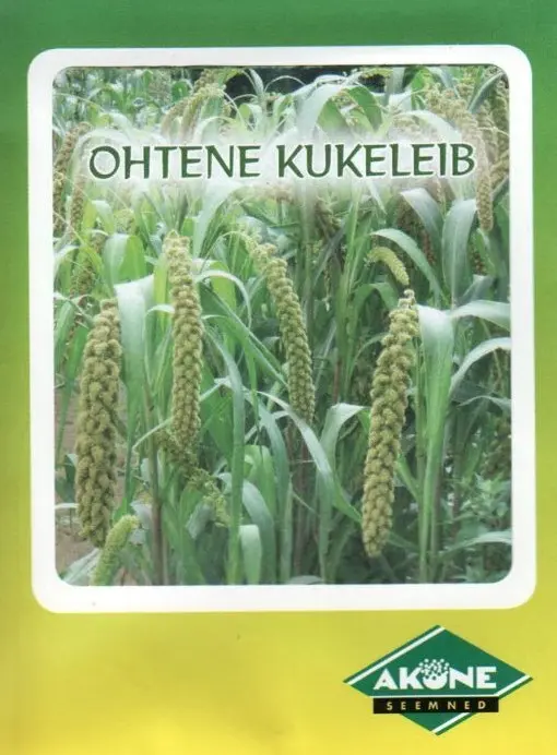 Ohtene kukeleib 1 g