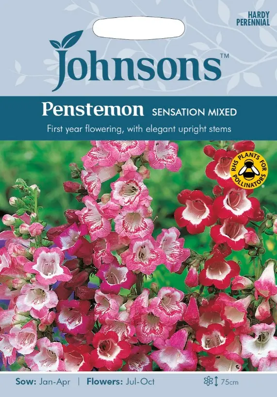 Peekerlill SENSATION segu