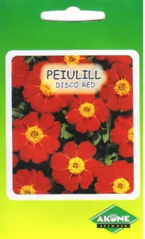 Peiulill DISCO RED; 40 s.