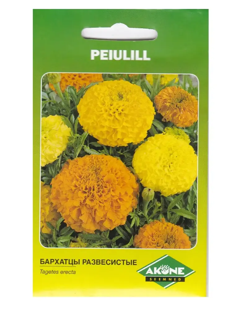 Peiulill GIGANT PERFEC,/CRACKERJACK kõrge: 1 g
