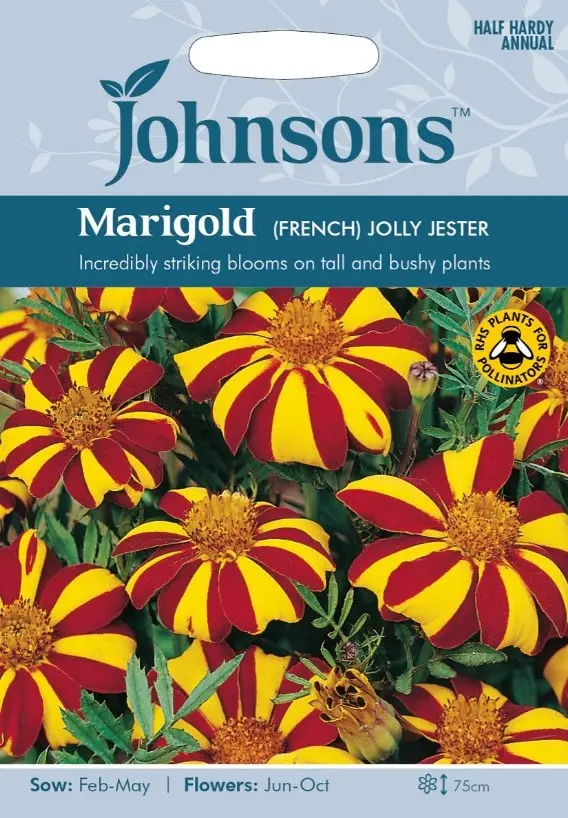 Peiulill JOLLY JEST