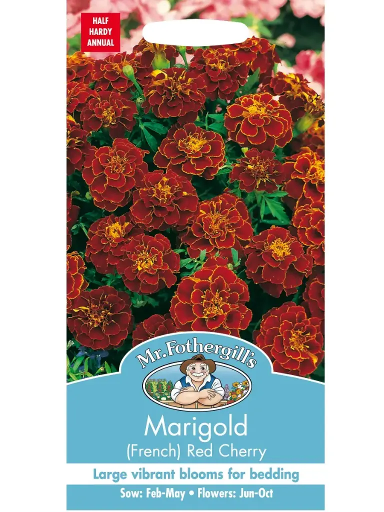 Peiulill RED CHERRY 100 s.