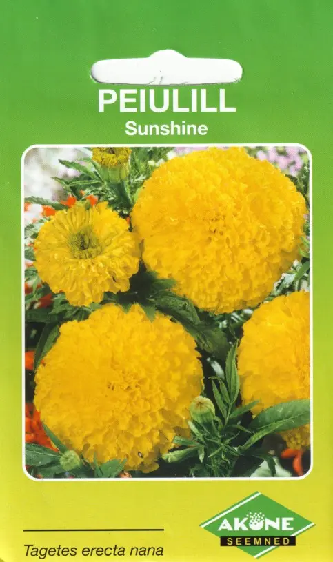 Peiulill SUNSHINE, 25cm.suureõil. oranž 1g