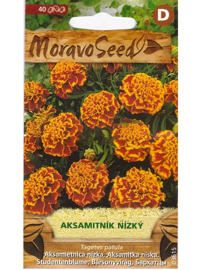 Peiulill, täidis madal, oranž