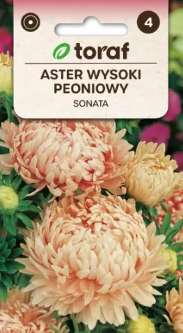 Pojengaster SONATA 1 g