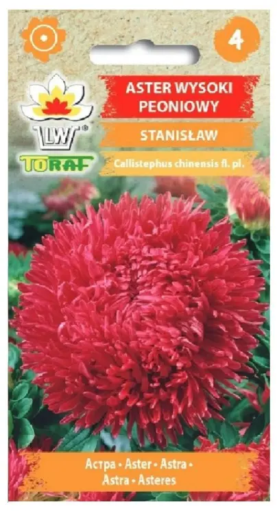 Pojengaster STANISLAW 1 g