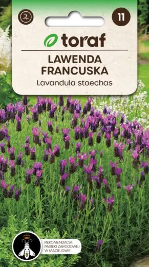 Prantsuse lavendel 0,1 g