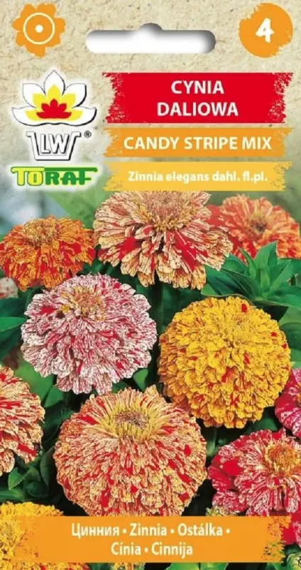 Pruudisõlg CANDY STRIPE 1 g
