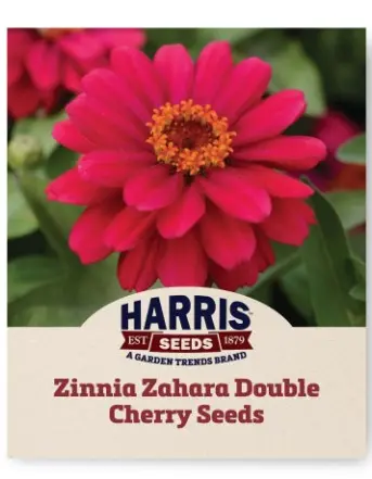 Pruudisõlg ZAHARA DOUBLE CHERRY; 10 tk