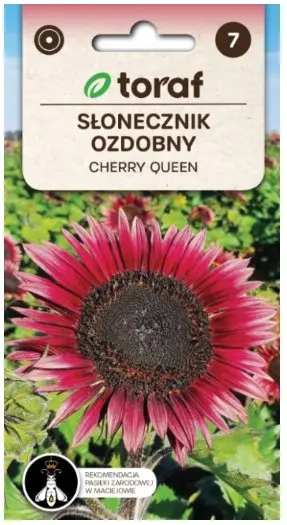 Päevalill CHERRY QUEEN 2 g