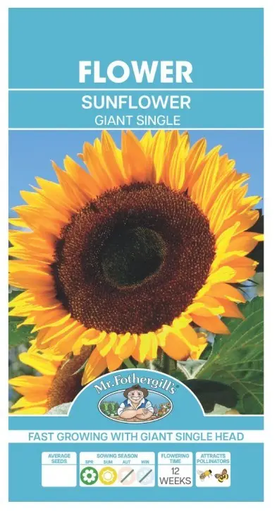 Päevalill GIANT SINGLE