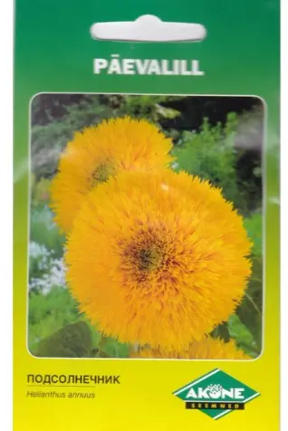 Päevalill SONNENGOLD/TEDDY BEAR; täidis,1g