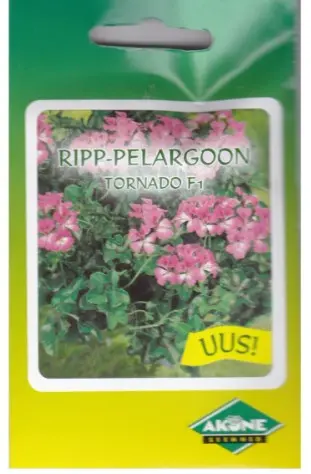 Ripp-pelargoon BICOLOR DUET, 6 seemet