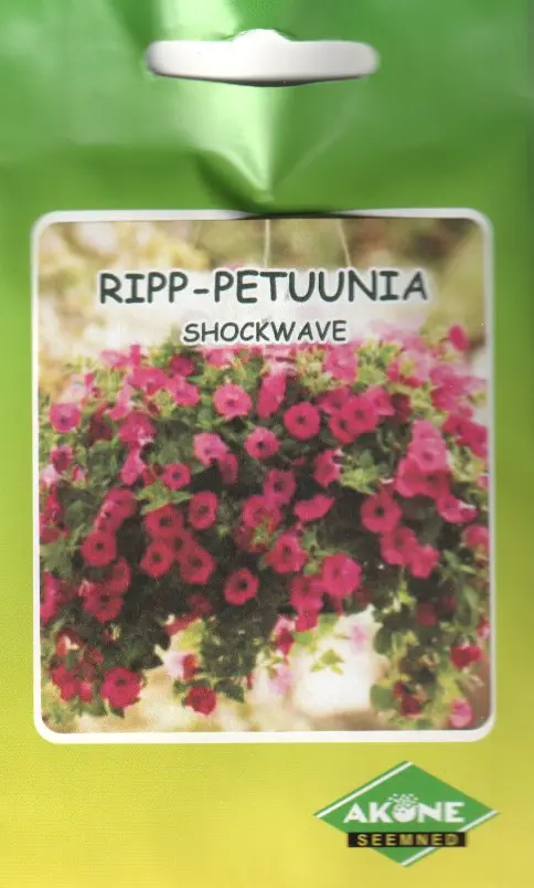Ripp-petuunia SHOCK WAVE F1; 10 s