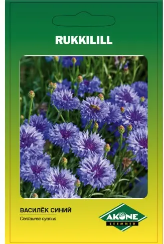 Rukkilill BLUE BOY; 1 g