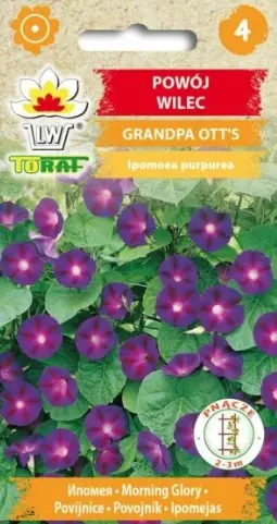 Verev lehtertapp GRANDPA OTT'S 1 g
