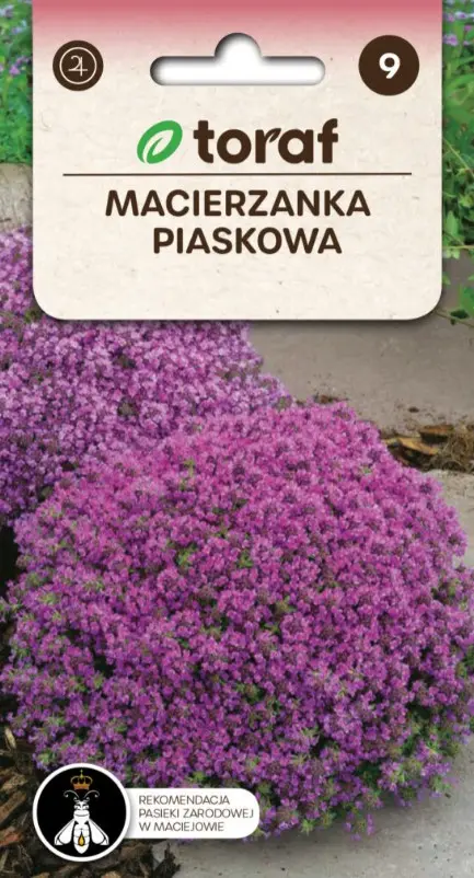 Nõmm-liivatee 0,1 g