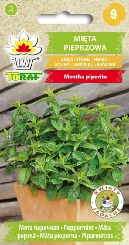 Piparmünt 0,1g