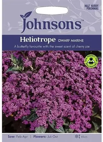 Harilik heliotroop DWARF MARINE 150 s.
