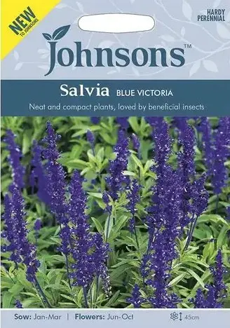 Salvei BLUE VICTORIA