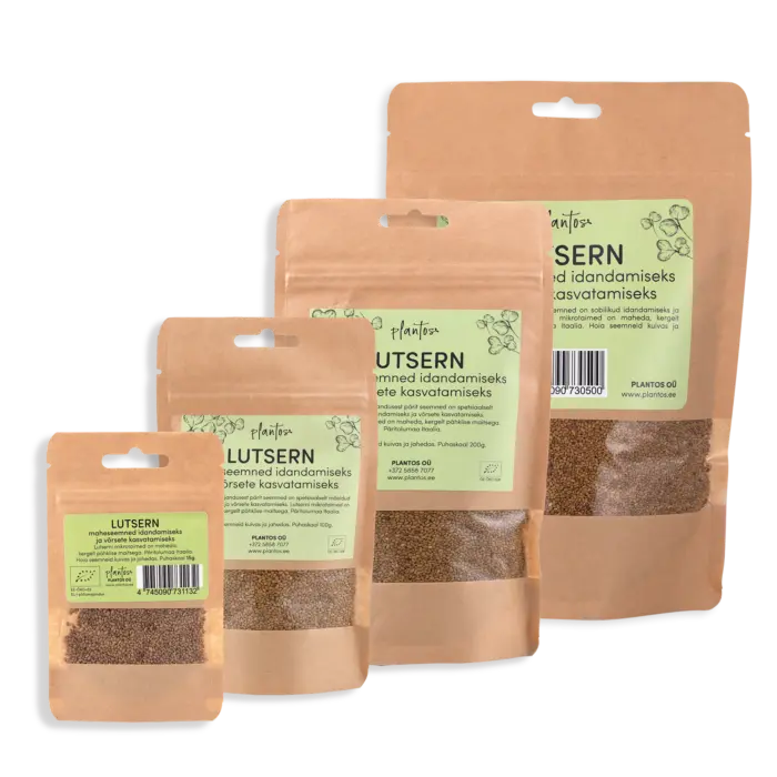 Lutsern 100g