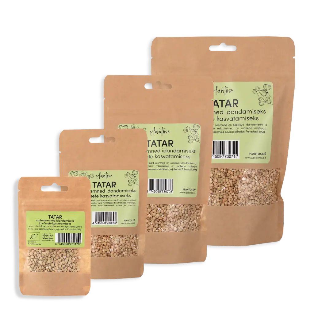 Tatar 100g
