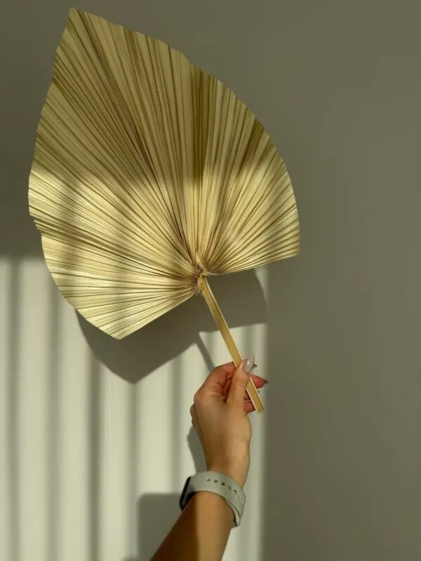 Kuivatatud Palmileht, 30cm 