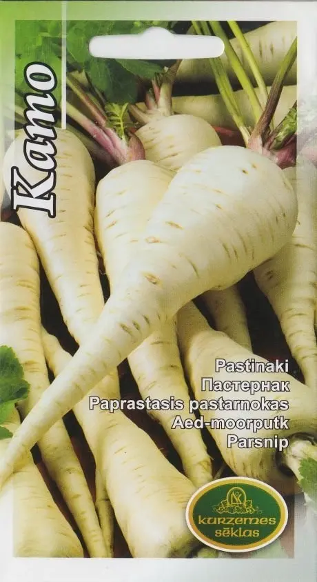 Aed-moorputk (pastinaak) 3 g