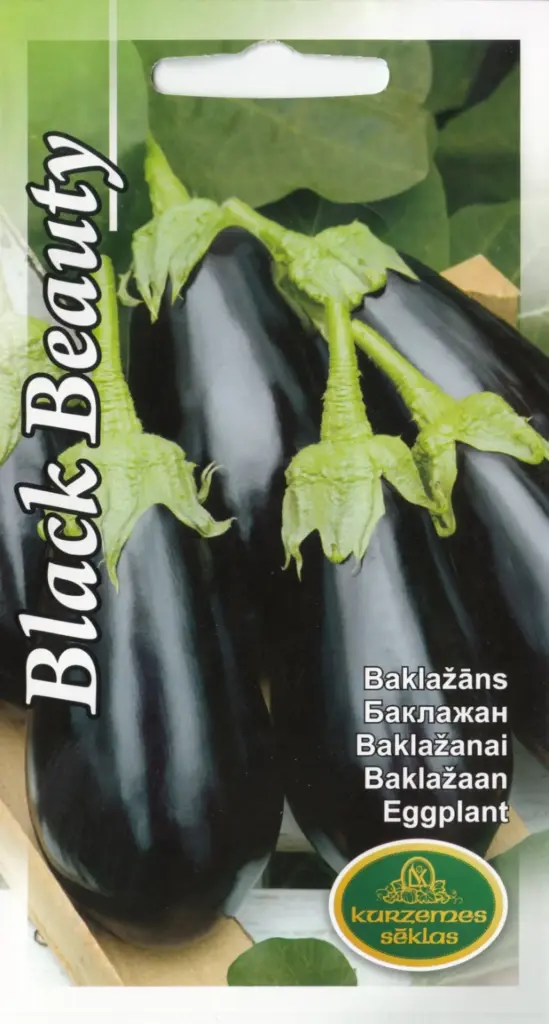 Baklažaan Black Beauty 0,2 g