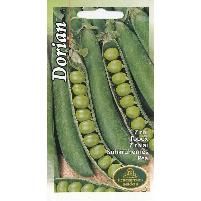 Hernes Dorian 20 g