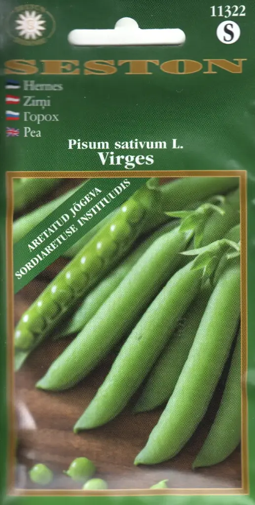 Hernes Virges 20 g