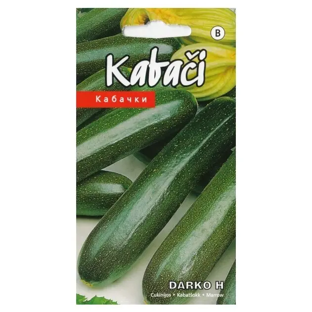 Kabatšokk Darko H 5 s